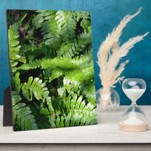 Spring Green Ferns boho botanisch Fotoplaat (Zijkant)