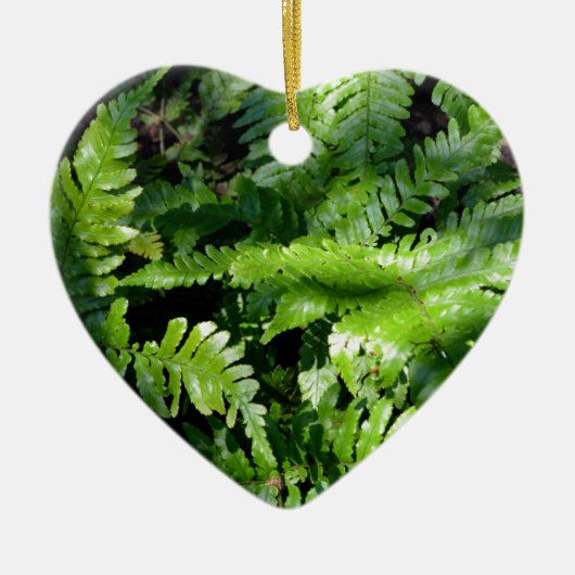 Spring Green Ferns boho botanisch Keramisch Ornament (Voorkant)