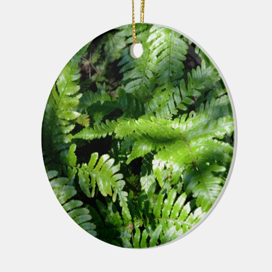 Spring Green Ferns boho botanisch Keramisch Ornament (Links)