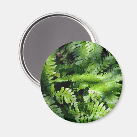 Spring Green Ferns boho botanisch Magneet (Voorkant / Achterkant)