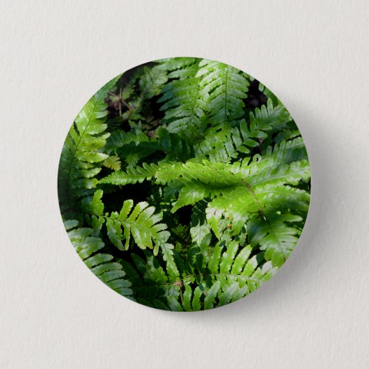 Spring Green Ferns boho botanisch Ronde Button 5,7 Cm (Voorkant)