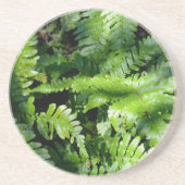Spring Green Ferns boho botanisch Zandsteen Onderzetter (Voorkant)