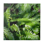 Spring Green Ferns botanisch groen bos uitzicht Tegeltje (Voorkant)