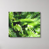 Spring Green Ferns Canvas Afdruk (Voorkant)