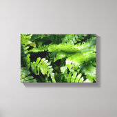 Spring Green Ferns Canvas Afdruk (Voorkant)