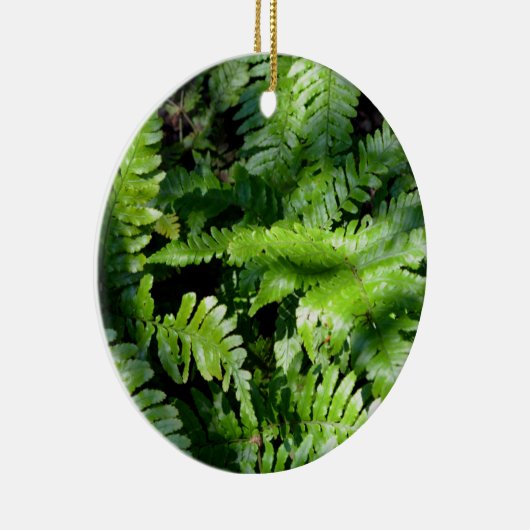 Spring Green Ferns Keramisch Ornament (Rechts)