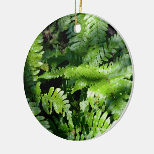 Spring Green Ferns Keramisch Ornament (Links)