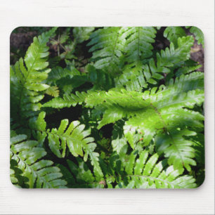 Spring Green Ferns Muismat