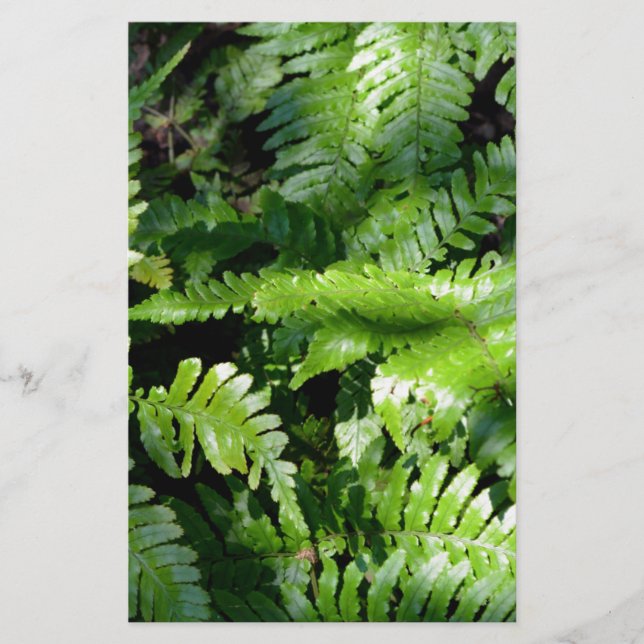 Spring Green Ferns tropisch botanisch groen (Voorkant)