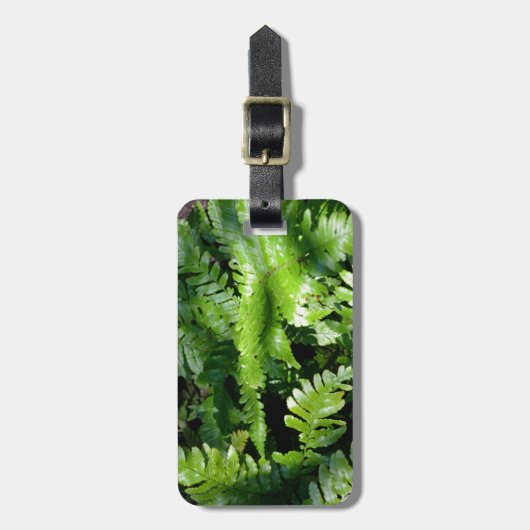 Spring Green Ferns tropisch botanisch groen Bagagelabel (Voorkant verticaal)