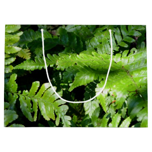 Spring Green Ferns tropisch botanisch groen Groot Cadeauzakje (Voorkant)