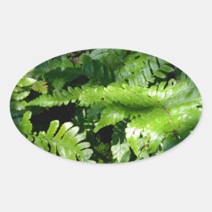 Spring Green Ferns tropisch botanisch groen Ovale Sticker