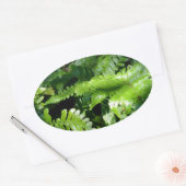 Spring Green Ferns tropisch botanisch groen Ovale Sticker (Envelop)