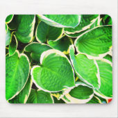 Spring green Hosta-bladeren Muismat (Voorkant)