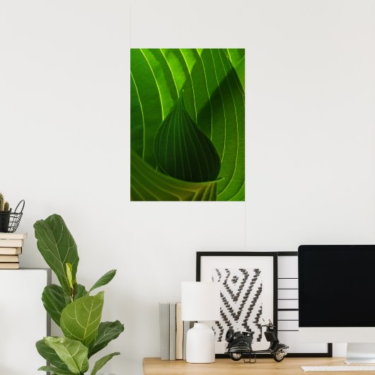 Spring Green Hosta Leaf Poster Print (Thuiskantoor)