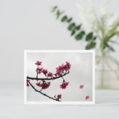 Spring Greetings/Cherry Blossom Kanji Briefkaart (Staand voorkant)