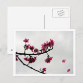 Spring Greetings/Cherry Blossom Kanji Briefkaart (Voorkant / Achterkant)