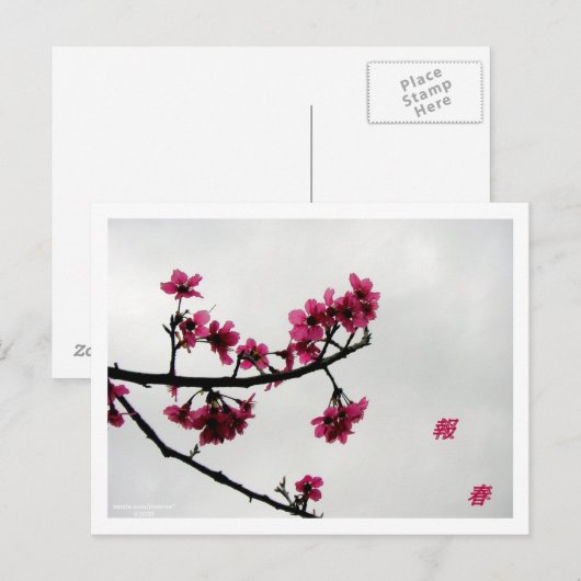 Spring Greetings/Cherry Blossom Kanji Briefkaart (Voorkant / Achterkant)