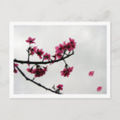 Spring Greetings/Cherry Blossom Kanji Briefkaart (Voorkant)