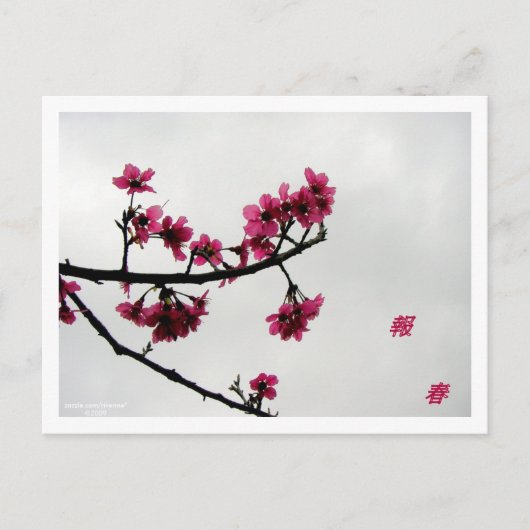 Spring Greetings/Cherry Blossom Kanji Briefkaart (Voorkant)