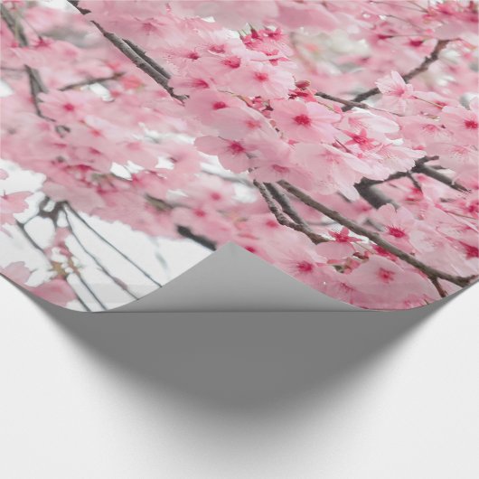 Spring Hanami Festival, Cherry Blossom Cadeaupapier (Hoek)