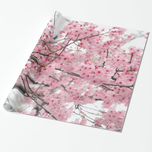Spring Hanami Festival, Cherry Blossom Cadeaupapier (Uitgerold)