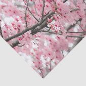 Spring Hanami Festival tissuepapier (Detail)