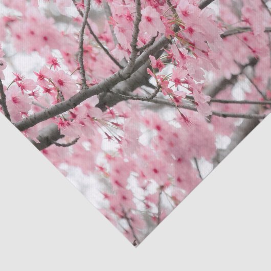 Spring Hanami Festival tissuepapier (Detail)