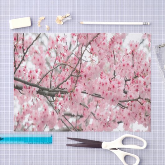 Spring Hanami Festival tissuepapier (Craft)