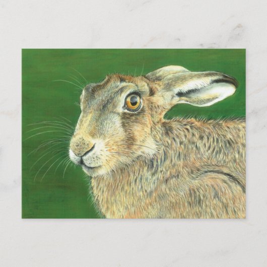 Spring Hare Briefkaart (Voorkant)