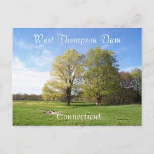 Spring has Sprung Briefkaart