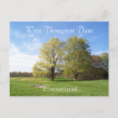 Spring has Sprung Briefkaart (Voorkant)