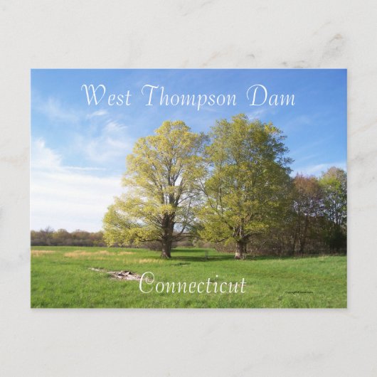 Spring has Sprung Briefkaart (Voorkant)