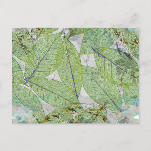 Spring has Sprung Briefkaart