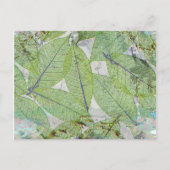 Spring has Sprung Briefkaart (Voorkant)