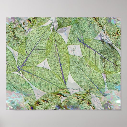 Spring has Sprung Poster (Voorkant)
