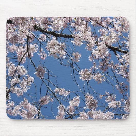 Spring heeft Sprung Mousepad Muismat (Voorkant)