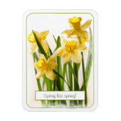 Spring heeft Sprung Yellow Daffodils Close-up foto Magneet (Verticaal)