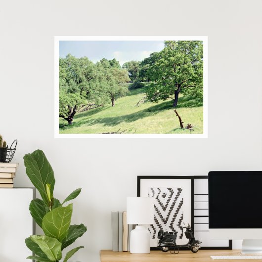 Spring Hillside, San Jose (poster) Poster (Thuiskantoor)