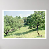 Spring Hillside, San Jose (poster) Poster (Voorkant)