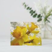 Spring Holiday Daffodil Briefkaart (Staand voorkant)