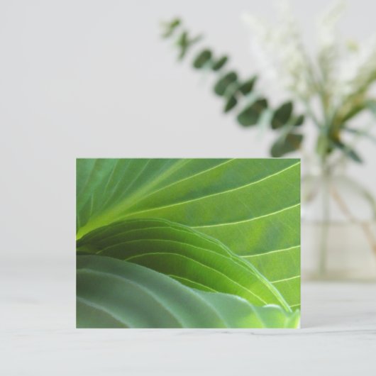Spring Hosta briefkaart (Staand voorkant)