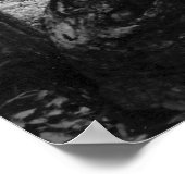 Spring House, Irving College Tennessee Poster (Hoek)