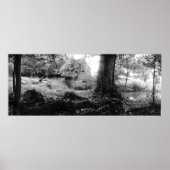 Spring House, Irving College Tennessee Poster (Voorkant)