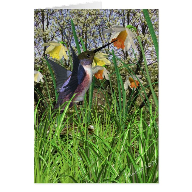 Spring Hummingbird Cards (Voorkant)