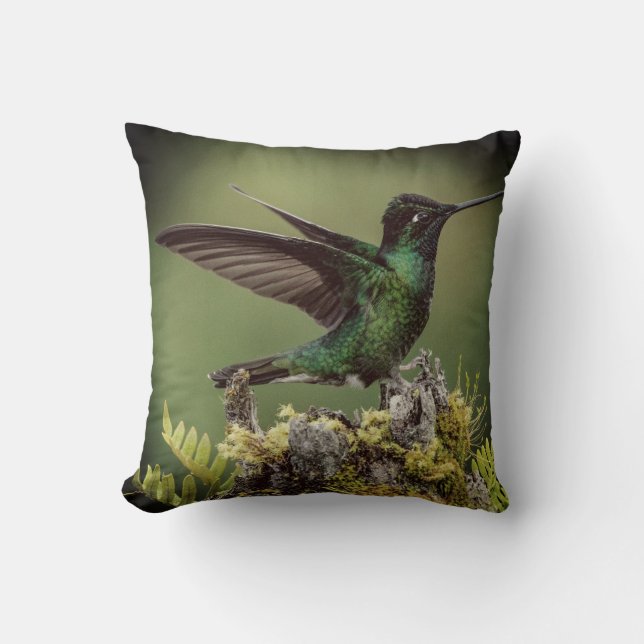 Spring Hummingbird voor Natuur liefhebbers Kussen (Voorkant)