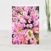 Spring Hyacinth Blank Card (Voorkant)