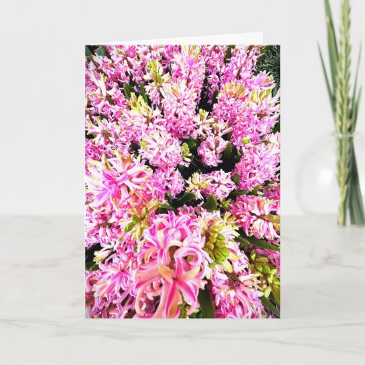 Spring Hyacinth Blank Card (Voorkant)