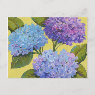 Spring Hydrangeas I Briefkaart