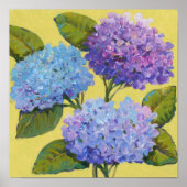Spring Hydrangeas I Poster (Voorkant)